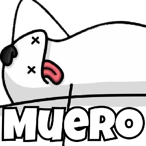 🌈🤍✨️Flork Pal Whatsapp✨️🤍🌈