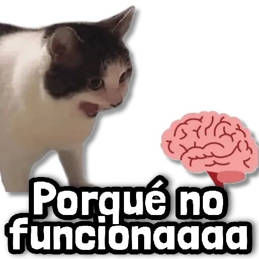 Stickers sin Filtro #➊➏ 🛑