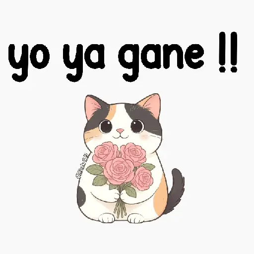 🤪✨Flork-varios 🤩😗