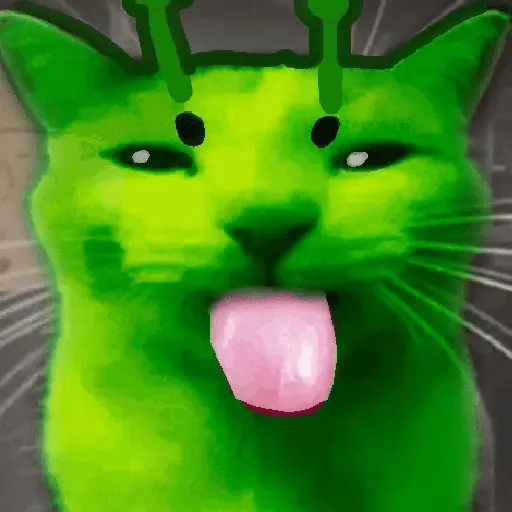 🐈‍⬛🐱🧶 GATOS | CATS 🧶🐱🐈‍⬛