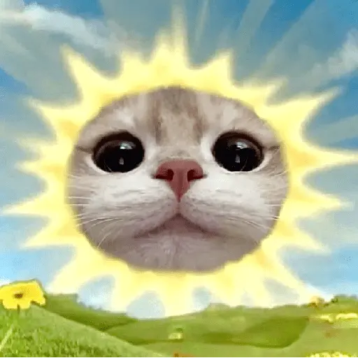 🐈‍⬛🐱🧶 GATOS | CATS 🧶🐱🐈‍⬛