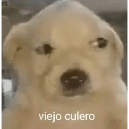 jd Pantoja 