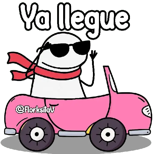 Flork en auto 😎✨