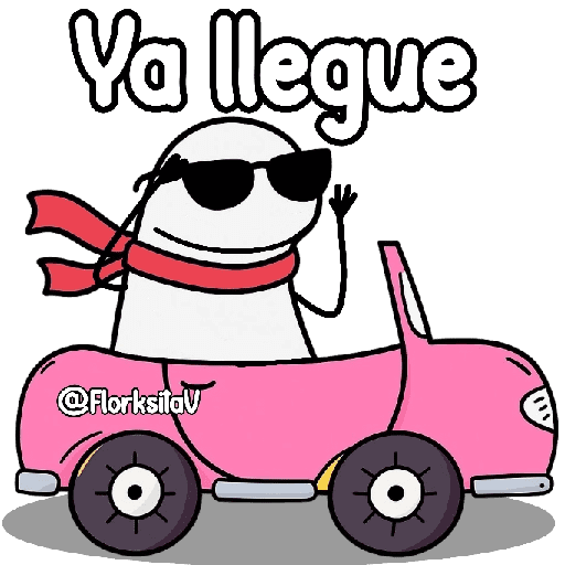 Flork en auto 😎✨ preview