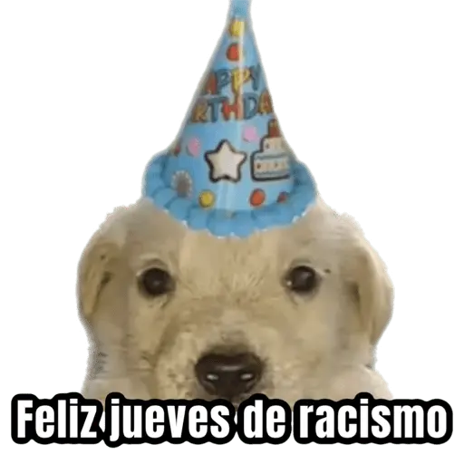 Jueves de racismo 2025 🤣