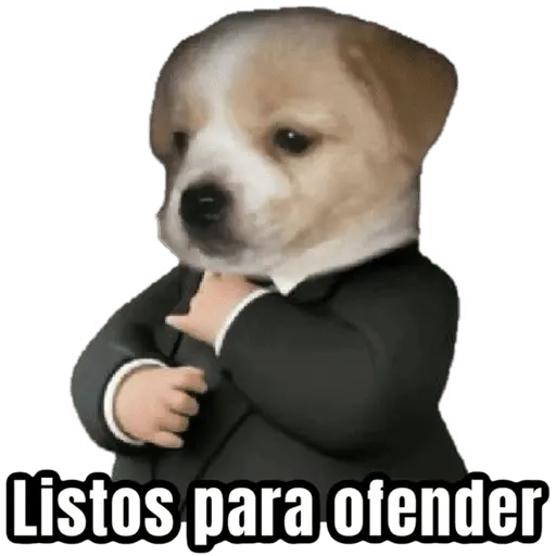 Jueves de racismo 2025 🤣