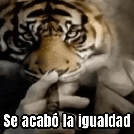 Jueves de racismo 2025 🤣