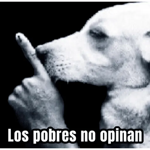Jueves de racismo 2025 🤣