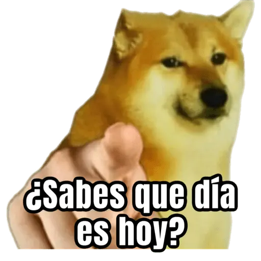 Jueves de racismo 2025 🤣