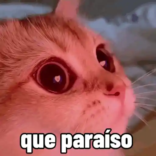 sapecagens - animadas