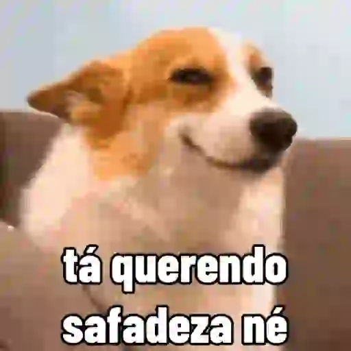 sapecagens - animadas preview