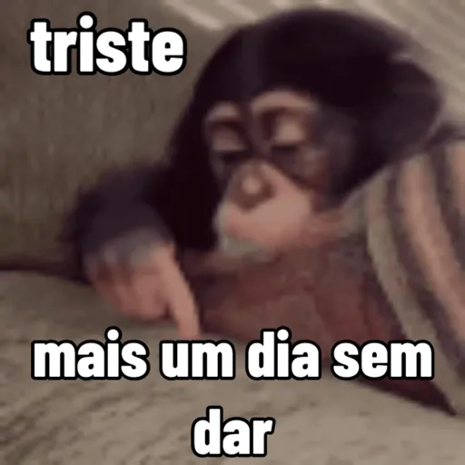 sapecagens - animadas