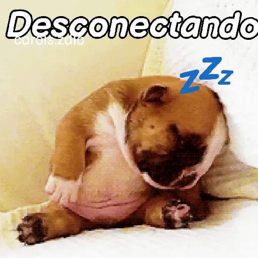 A mimir 💤 Perros 🐶😴