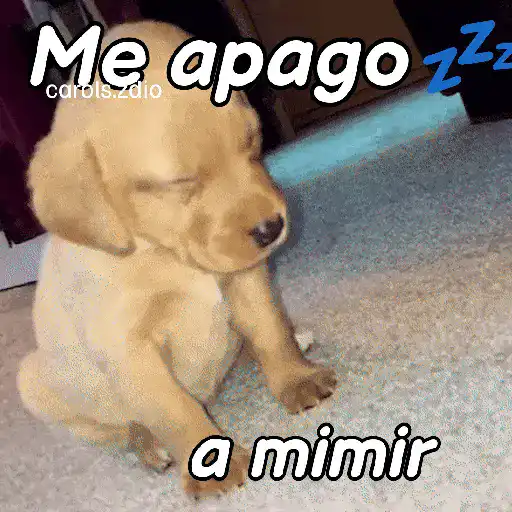 A mimir 💤 Perros 🐶😴