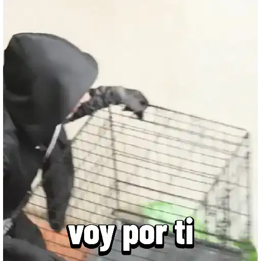 los polinesios  preview