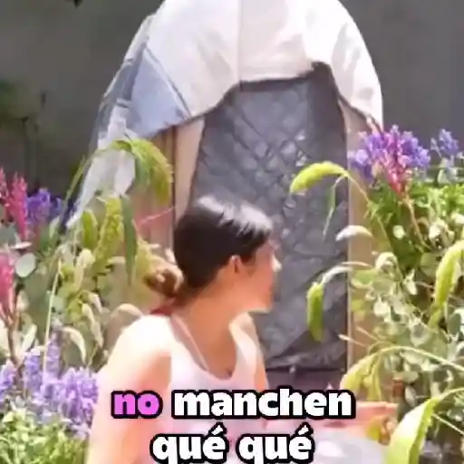 los polinesios 