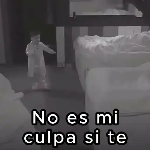 Abelito LCDLFMX3 Team Abelito🏠