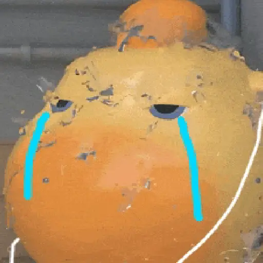 🧿Capibara 2 Lulu🟡