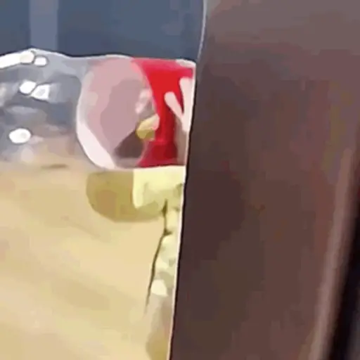 Bebés divertidos 👶🏼