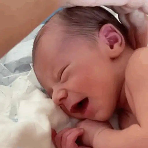 Bebés divertidos 👶🏼 preview