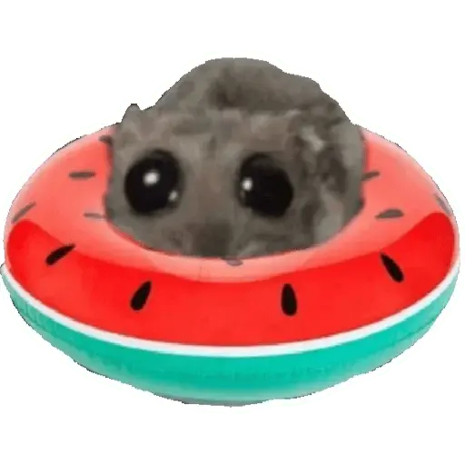 Rata triste Hámster Memes 🐭🐹