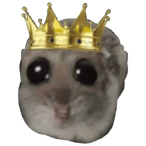 Rata triste Hámster Memes 🐭🐹