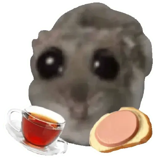 Rata triste Hámster Memes 🐭🐹