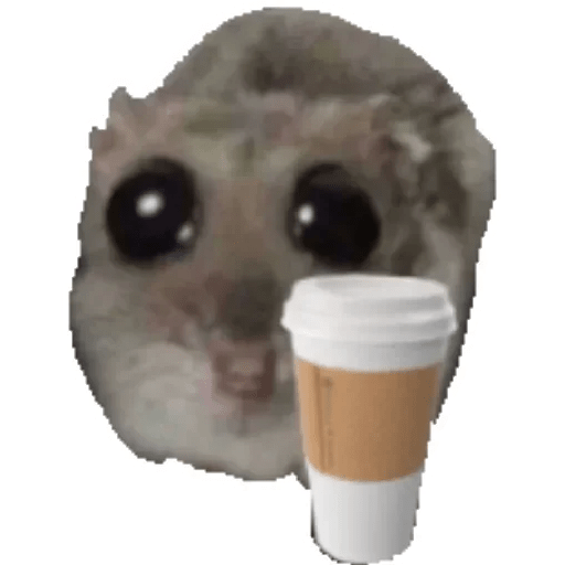 Rata triste Hámster Memes 🐭🐹 preview