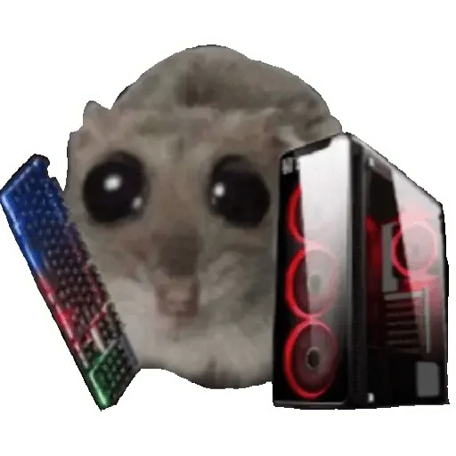Rata triste Hámster Memes 🐭🐹