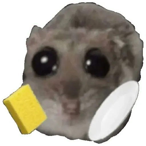 Rata triste Hámster Memes 🐭🐹