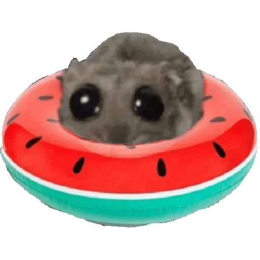 Rata triste Hámster Memes 🐭🐹 preview