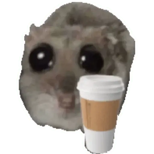 Rata triste Hámster Memes 🐭🐹