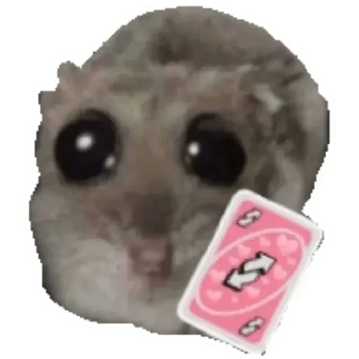 Rata triste Hámster Memes 🐭🐹
