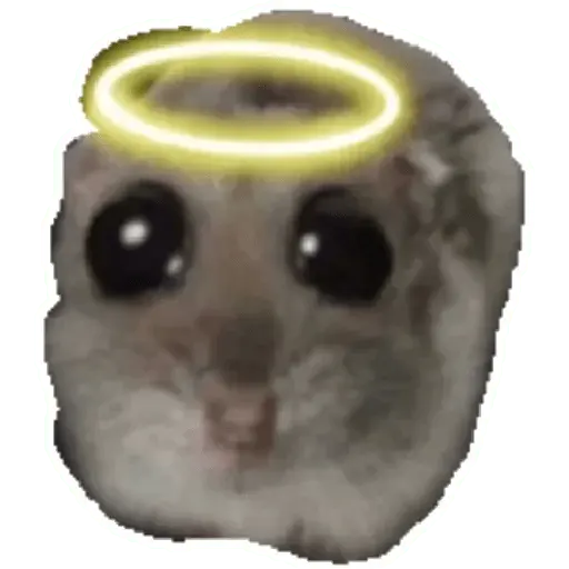 Rata triste Hámster Memes 🐭🐹