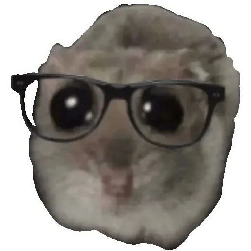 Rata triste Hámster Memes 🐭🐹