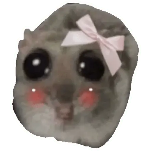 Rata triste Hámster Memes 🐭🐹