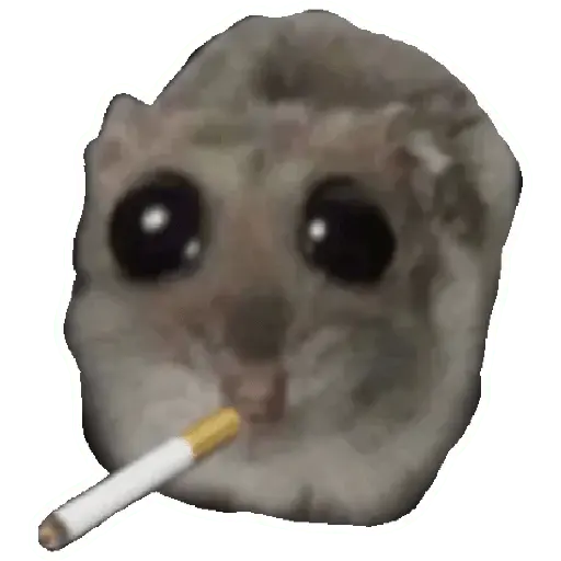 Rata triste Hámster Memes 🐭🐹