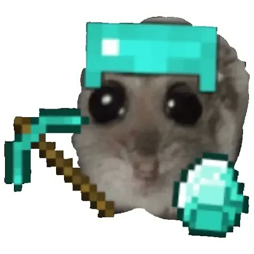 Rata triste Hámster Memes 🐭🐹