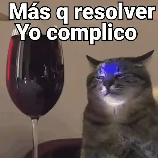 Gatos pa Responder 2🐱🌼