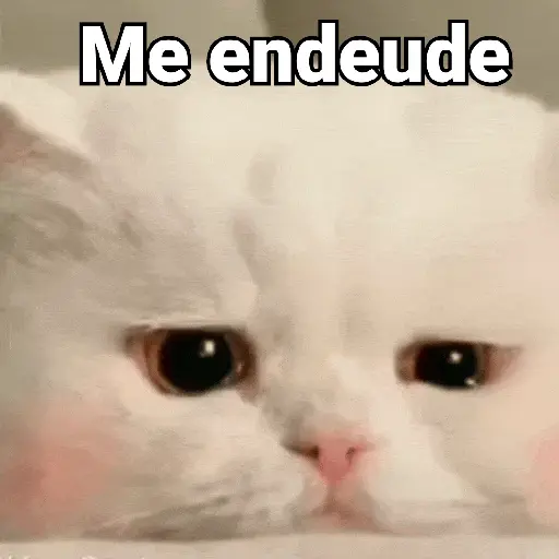 Gatos pa Responder 2🐱🌼