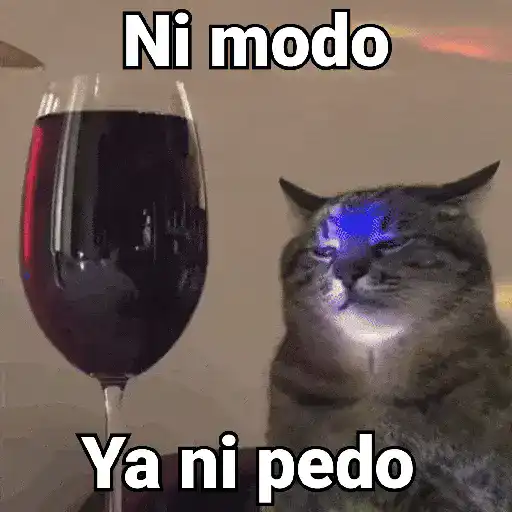 Gatos pa Responder 2🐱🌼
