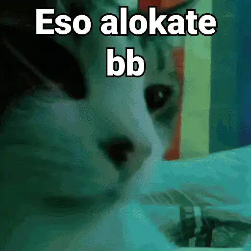 Gatos pa Responder 2🐱🌼