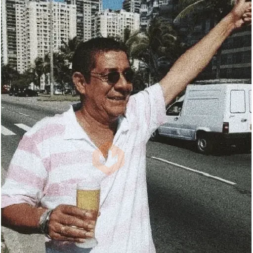 BRAZILIAN MEMES 🇧🇷 sticker 15
