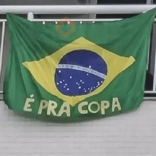 BRAZILIAN MEMES 🇧🇷 sticker 13
