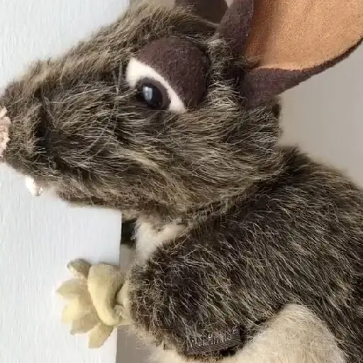 Rata triste de TikTok Meme😞🐭🐁