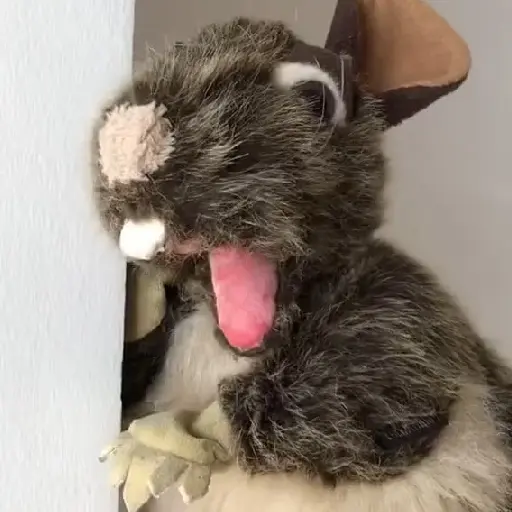 Rata triste de TikTok Meme😞🐭🐁