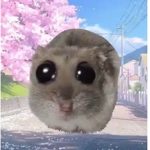Rata triste de TikTok Meme😞🐭🐁 preview