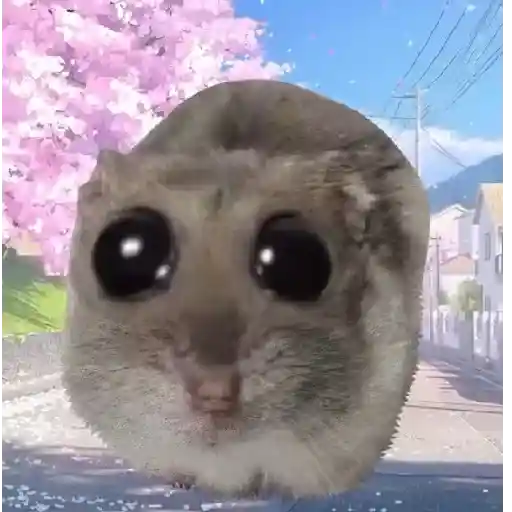 Rata triste de TikTok Meme😞🐭🐁