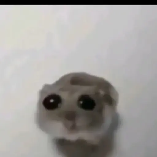 Rata triste de TikTok Meme😞🐭🐁