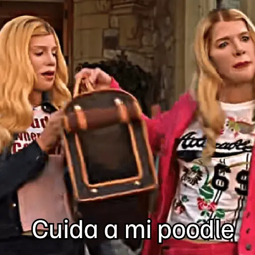 Donde están las rubias? 👱🏻‍♀️